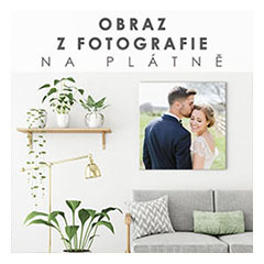 Obraz z fotografie - ČTVEREC - různé rozměry 000 fotoš