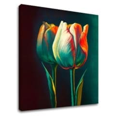 Designová dekorace na plátně Ráno s tulipánem | 100x100 cm