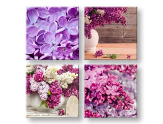 Obraz na stěnu Lilacs 