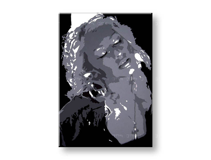 Ručně malovaný POP Art Christina Aguilera