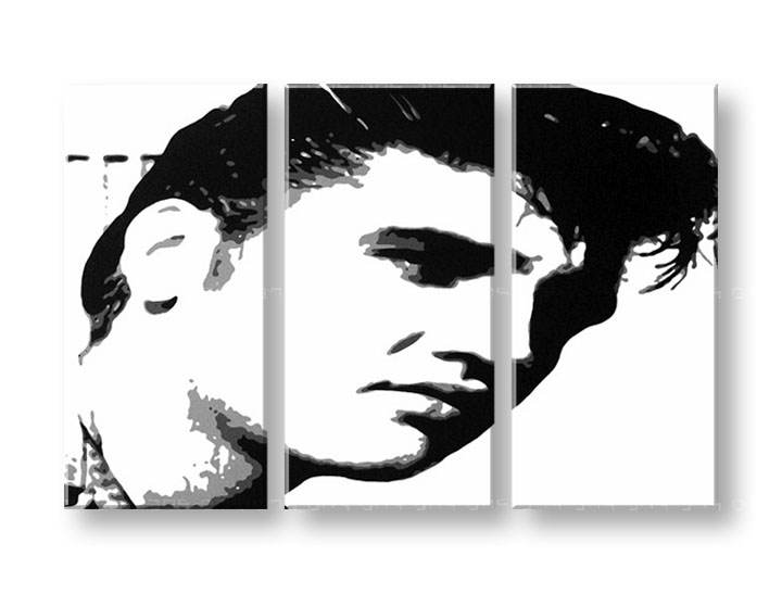 Ručně malovaný POP Art ELVIS