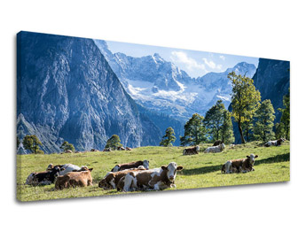 Nástěnná malba PANORAMA KRAJINA KR005E13