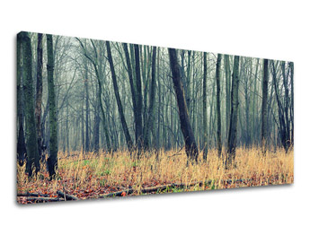 Nástěnná malba PANORAMA STROMY ST019E13