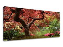 Nástěnná malba PANORAMA TREES XOBST001E13 50X100 cm