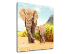 Nástěnná malba ZVÍŘATA_049-12