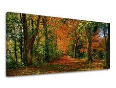Nástěnný obraz PANORAMA STROMY 60x120 cm
