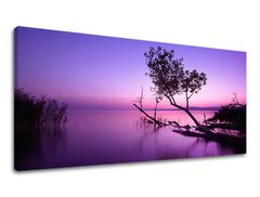 Nástěnný obraz PANORAMA WEST SLNKA 50x100 cm