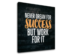 Motivační obraz na zeď o úspěchu_006
