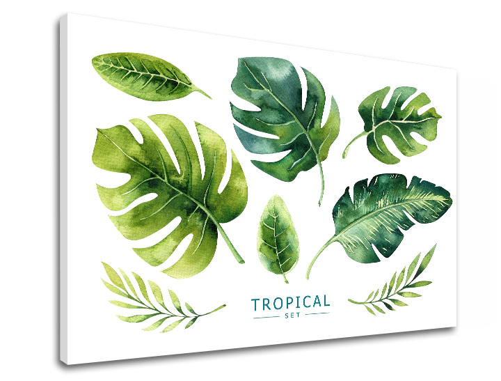 Obraz na zeď s textem Tropical set - 100x150 cm moderní obrazy s textem