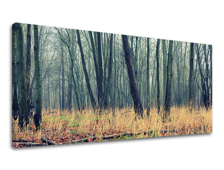 Obraz na stěnu PANORÁMA STROMY ST019E13 - 30x60 cm moderní obrazy na plátně