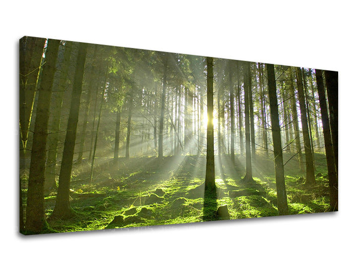 Obraz na stěnu PANORÁMA STROMY ST021E13 - 30x60 cm moderní obrazy na plátně