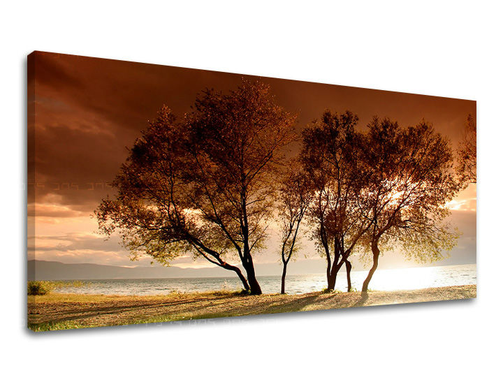 Obraz na stěnu PANORÁMA STROMY ST026E13 - 30x60 cm moderní obrazy na plátně