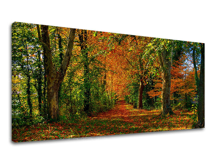 Obraz na stěnu PANORÁMA STROMY ST033E13 - 30x60 cm moderní obrazy na plátně