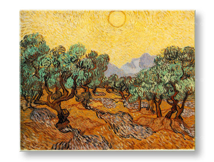 Obraz na plátně OLIVOVNÍKY – Vincent van Gogh 