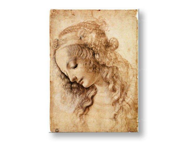 Obraz na plátně HLAVA ŽENY – Leonardo Da Vinci 000 REP166