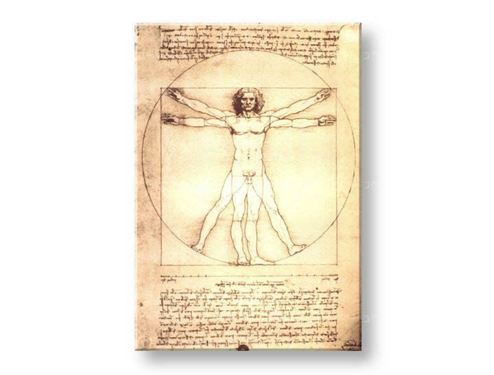 Obraz na plátně VITRUVIÁNSKY MUŽ– Leonardo Da Vinci 