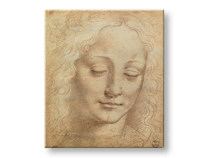 Obraz na plátně HLAVA ŽENY 3 – Leonardo Da Vinci REP176